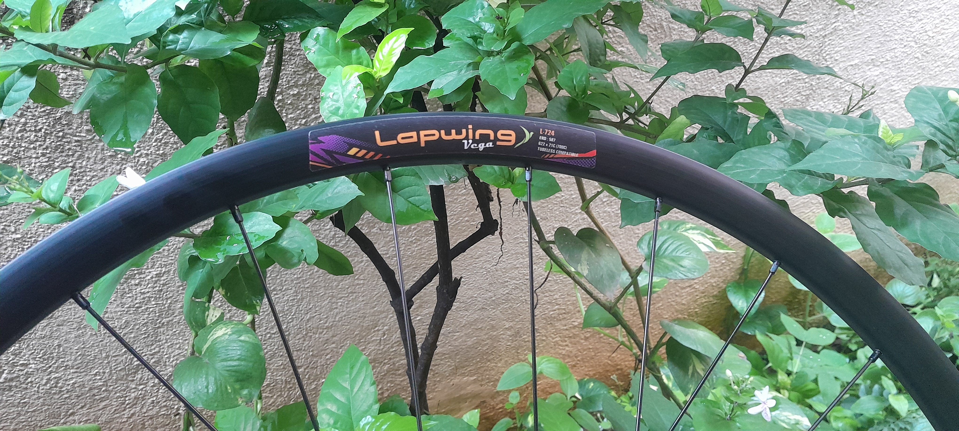 Lapwing Wheelset Centre Lock Thru-Axle 12 x 100 / 12 x 142 mm Lapwing Wheelset Centre Lock Thru-Axle 12 x 100 / 12 x 142 mm