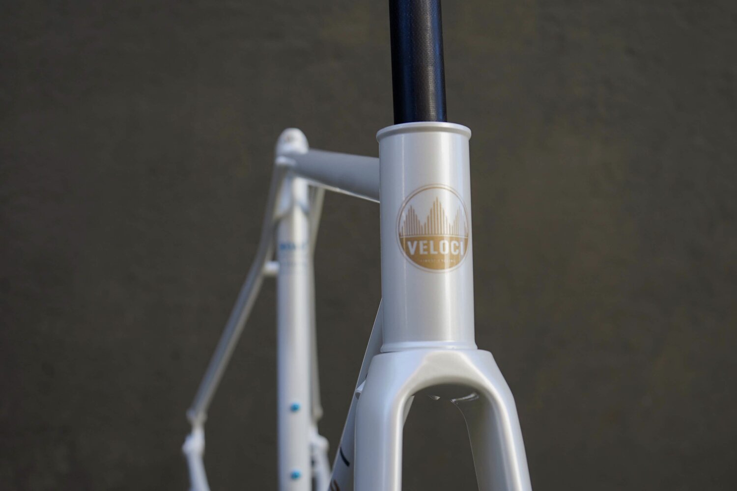 VELOCI Frame ROAD PLUS  ( ROAD )